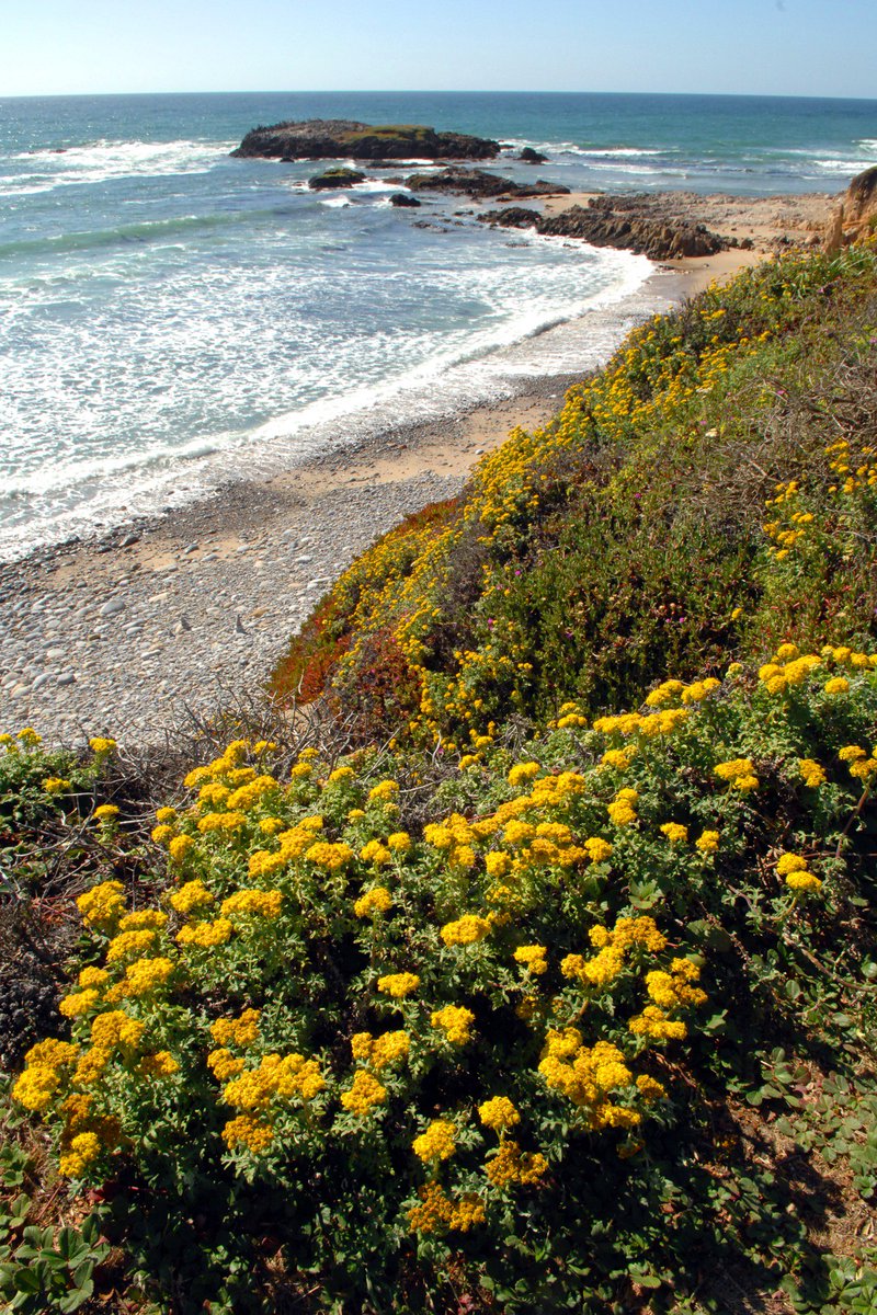 San Mateo County Sustainability Department tweet media