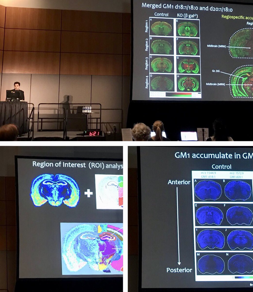educhicano's tweet photo. #RT @imaging_ms: RT @bindesh1: Enlightening talk by Khaja Muneeruddin from Scott Shaffer’s lab @UMassMedical on quantifying the neuromolecular phenotype of murine GM1 gangliosidosis with ion mobility QTof mass spectrometry imaging at #ASMS2017) @WatersCo… https://t.co/OUHrTfUhou