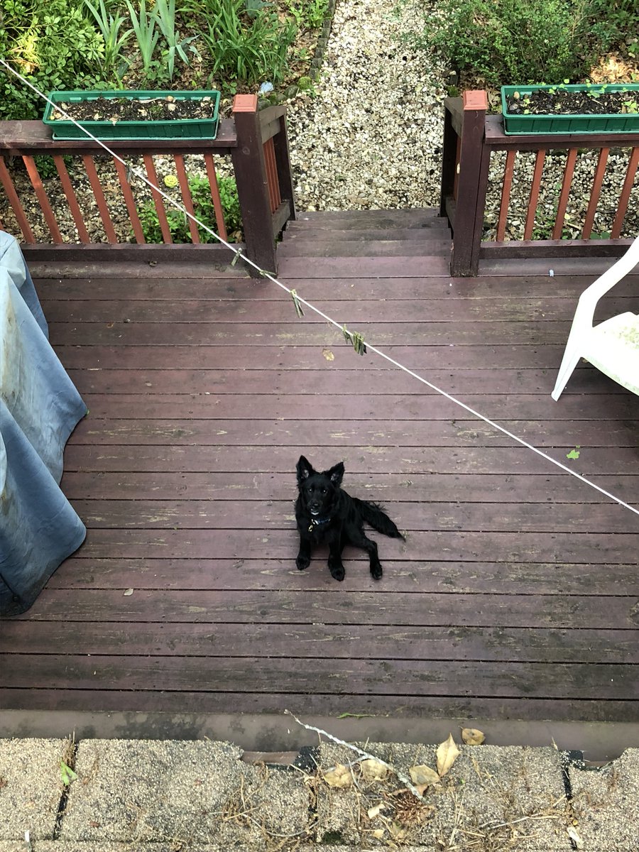 Young_Skeeter's tweet image. 