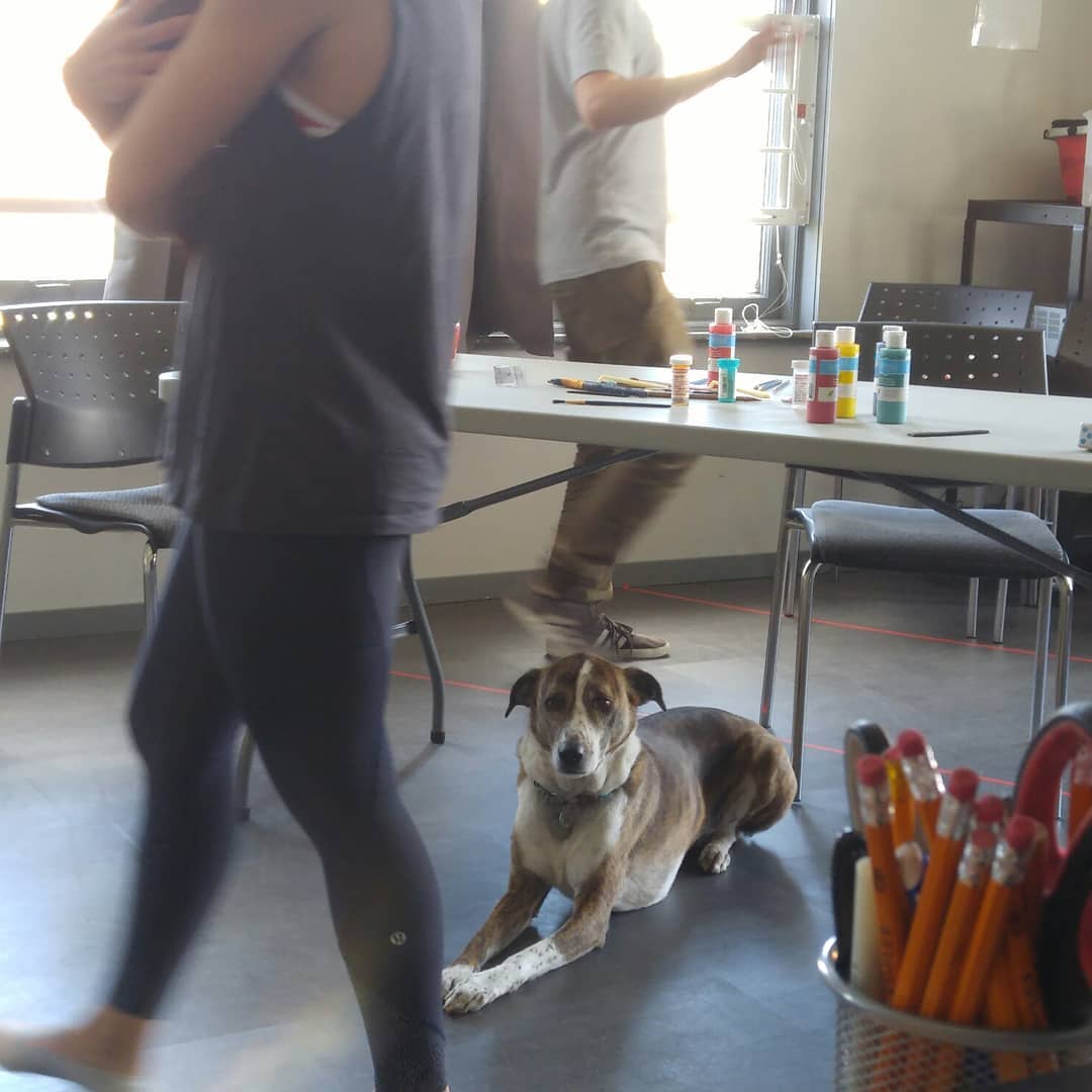EmiBettRickards's tweet photo. 📷 Loving our rehearsal pooch. Ophelia is an excellent addition to our crew. 
@emilybett
@paul.piaskowski
@realitycurve
@zayddohrn
@blessicakeenan

Tix at https://t.co/ULRL0RCe4h

#foolthedog #stanislavski #dogsofinstagram #actingisdoing #director [@loritriolo via Instagram] https://t.co/GWT68HUxB6