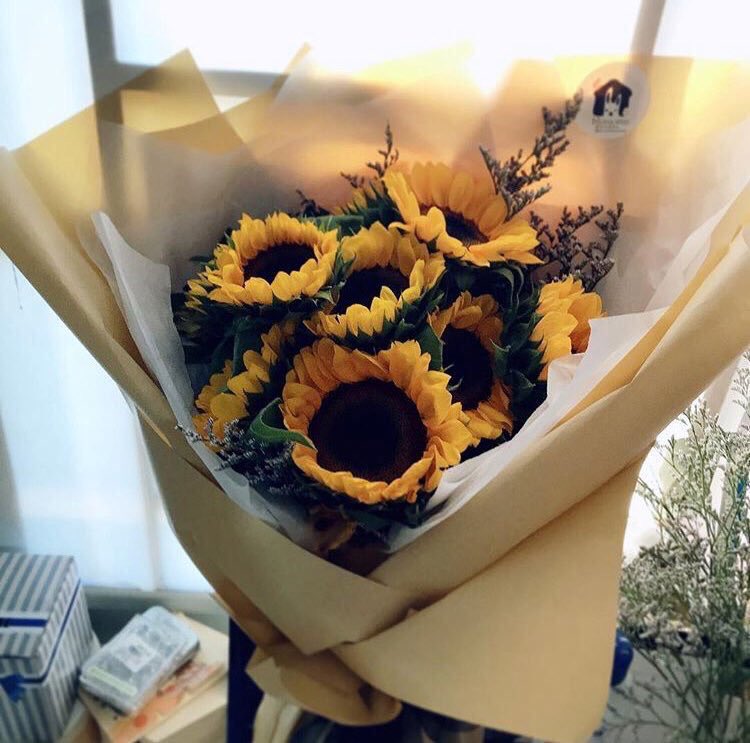 sunflowerlust's tweet photo. bundles of love 💕 https://t.co/uvSU2cuvgh