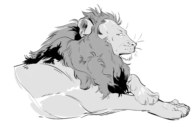 quick lion sketch 