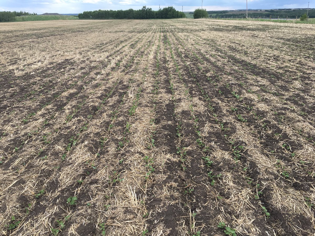 Jason Klassen tweet media