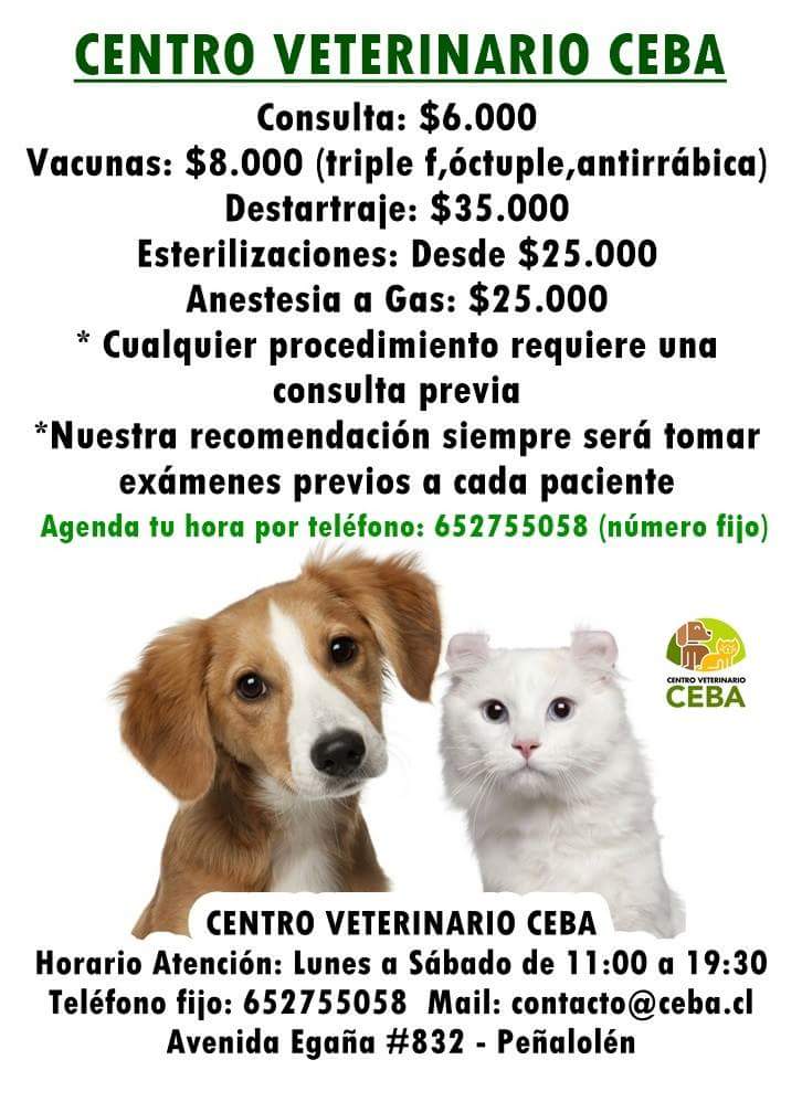 VetCeba's tweet photo. Consulta: $6.000
Vacunas: $8.000 (triple f,óctuple,antirrábica)
Destartraje: $35.000
Esterilizaciones: Desde $25.000
Anestesia a Gas: $25.000
* Cualquier procedimiento requiere una consulta previa
*Nuestra recomendación siempre será tomar exámenes previos a cada paciente
#GoCeba https://t.co/lxCIO8m4n4