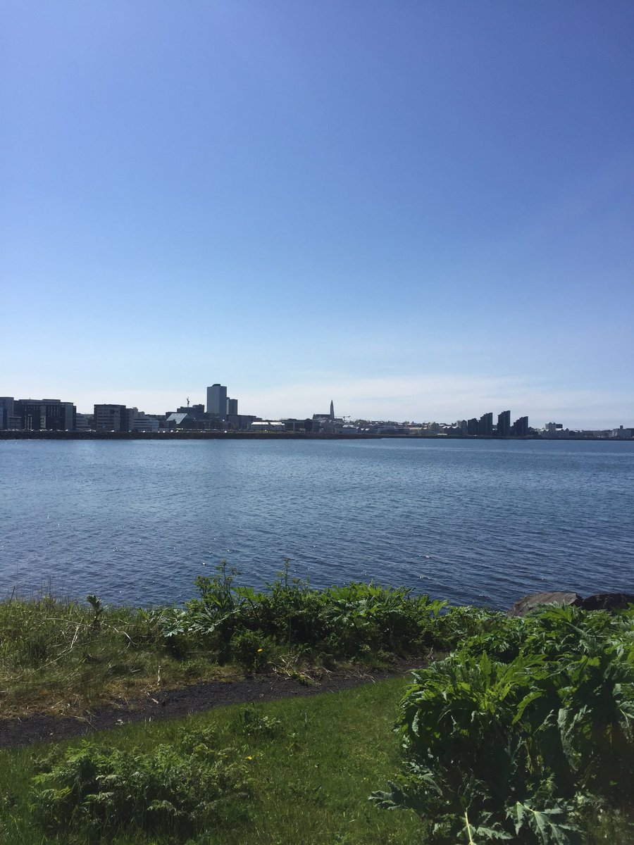 Peter Coco tweet media