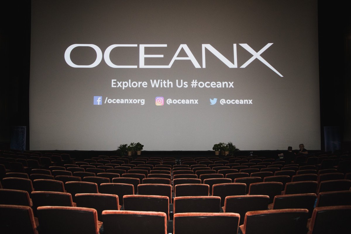 OceanX tweet media
