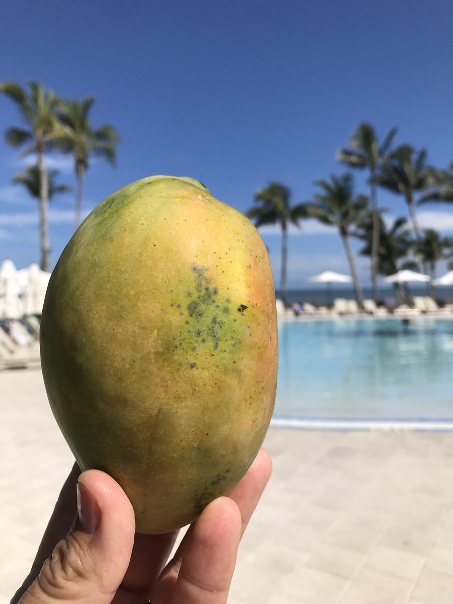 Robert Lansburgh (@sobemangofest) on Twitter photo 