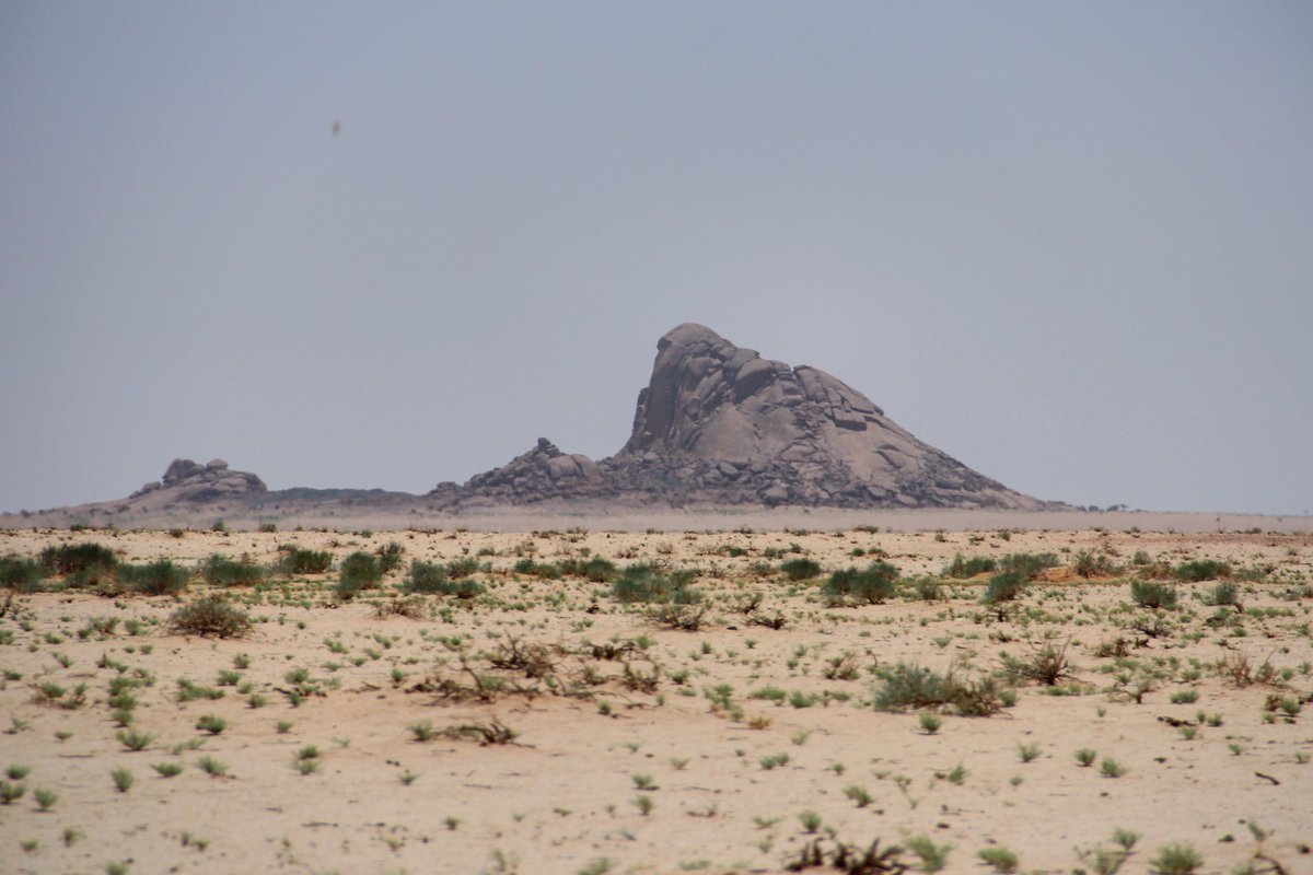 محمد بن عبدالله الشاوي tweet media