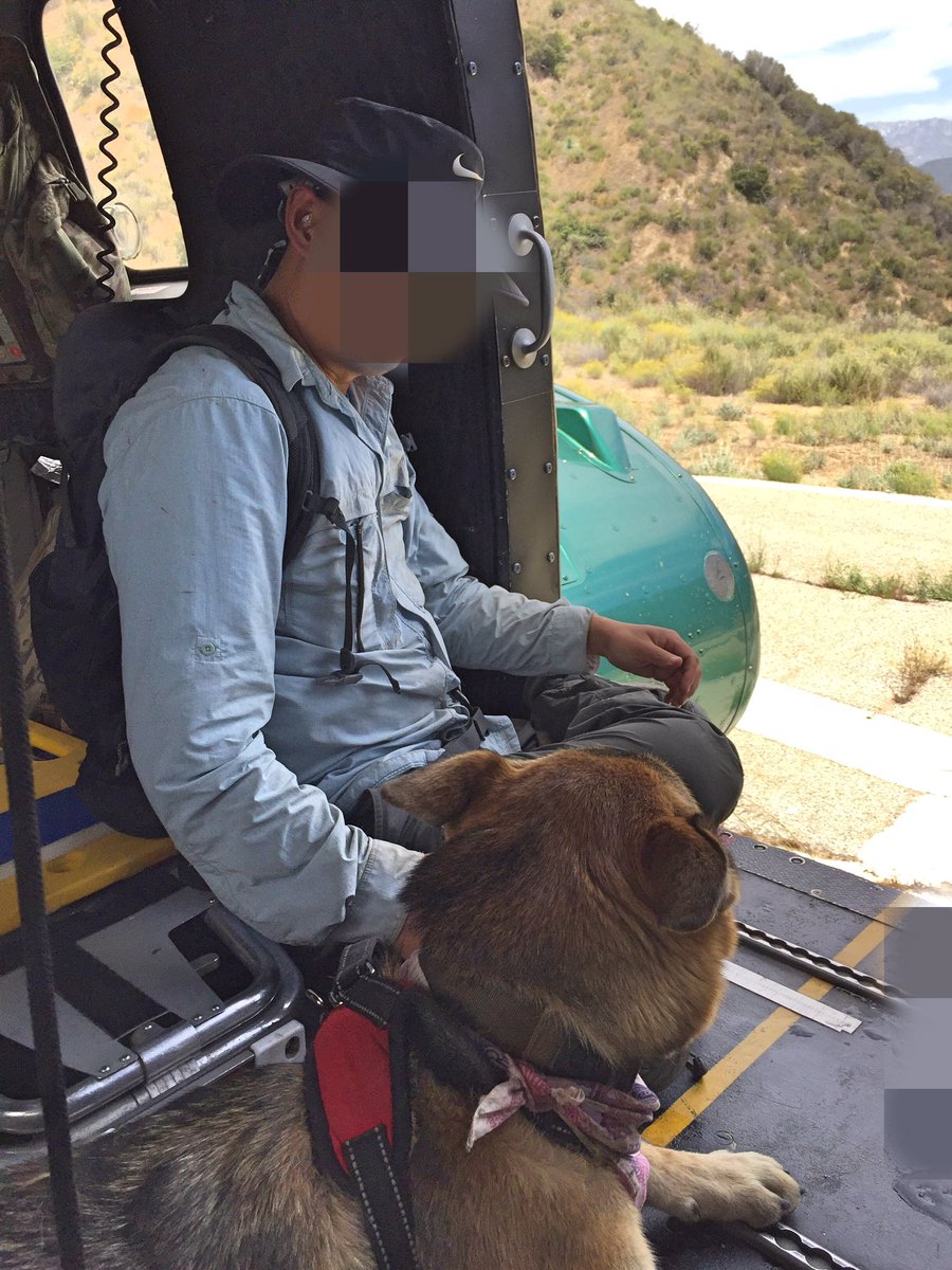 SEBLASD's tweet photo. #LASD Air Rescue 5 lands on the "Bridge to No Where Trail", Angeles Forest to assist a dehydrated hiker with an injured dog.  Both airlifted to safety. https://t.co/PXUsJoCAkR