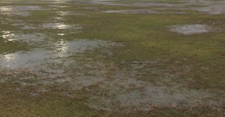 felixdnevado's tweet photo. @SArraijanal @SalvaArraijanal Quien diga que no es un paraje natural no tiene ni idea. Imágenes de una tarde lluviosa de invierno paseando por este pulmón. PURO TERRENO VERDE. Estamos con vosotros.
#stop #arrajainal https://t.co/jBIzdF0dTt