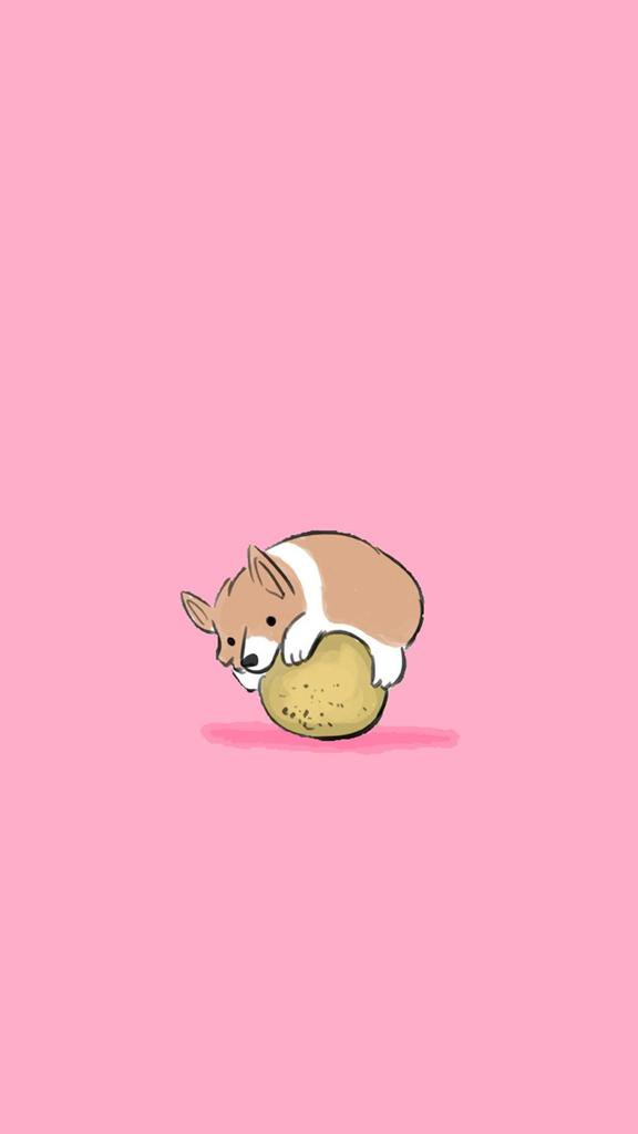 FunnehFriday's tweet photo. ʜᴇʀᴇ ɪs ᴀ ᴄᴏʀɢɪ ғᴏʀ ᴜʀ ᴛʀᴏᴜʙʟᴇs! :3 https://t.co/v9nVCffyC5