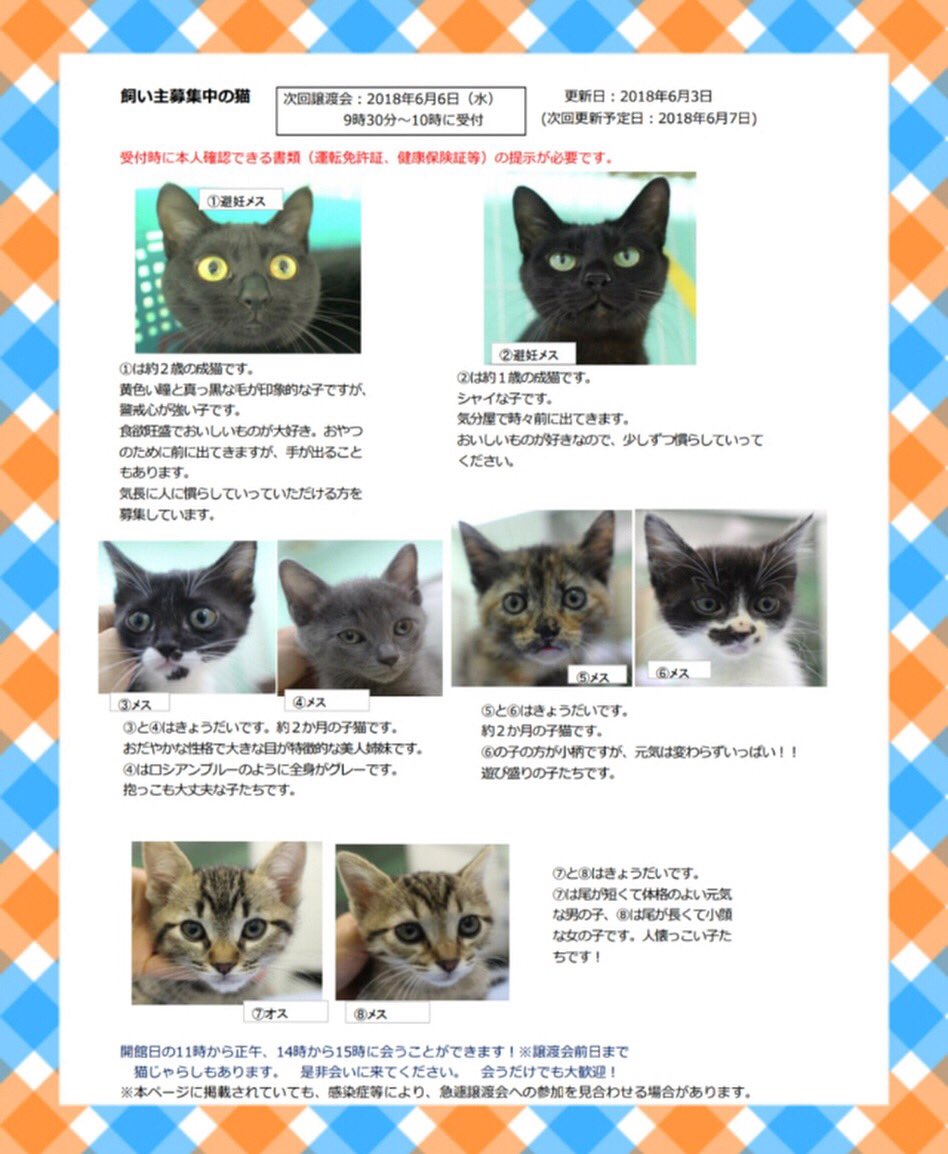 Npo法人えんねこ Twitter પર 6月6日 水 猫の譲渡会 豊田市動物愛護センター のお知らせ T Co Imwrvzzlm9 黒ちゃん なかなかご縁に恵まれません 猫 子猫 保護猫 猫の譲渡会 猫の里親募集 黒猫 豊田市動物愛護センター 大人猫ちゃんと暮らし