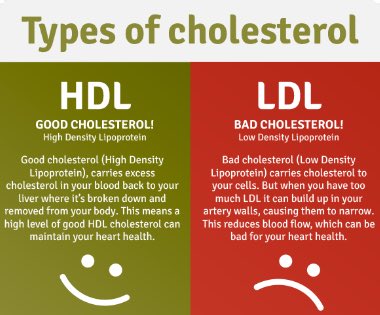 Hdl cholesterol. Ldl холестерин что это. hdl холестерин что это. ldl hdl. холестерол hdl.