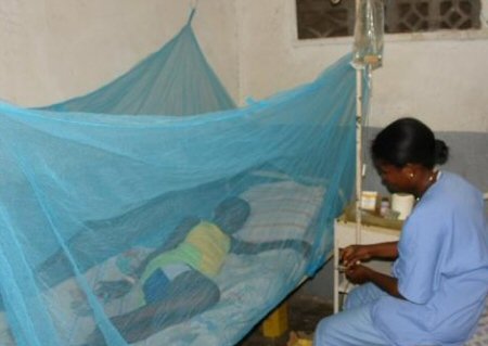 Paludisme: le Cameroun contribue à hauteur de 3% au pourcentage de la mortalité dans le monde selon un rapport du <a href="/WHO/">World Health Organization (WHO)</a>