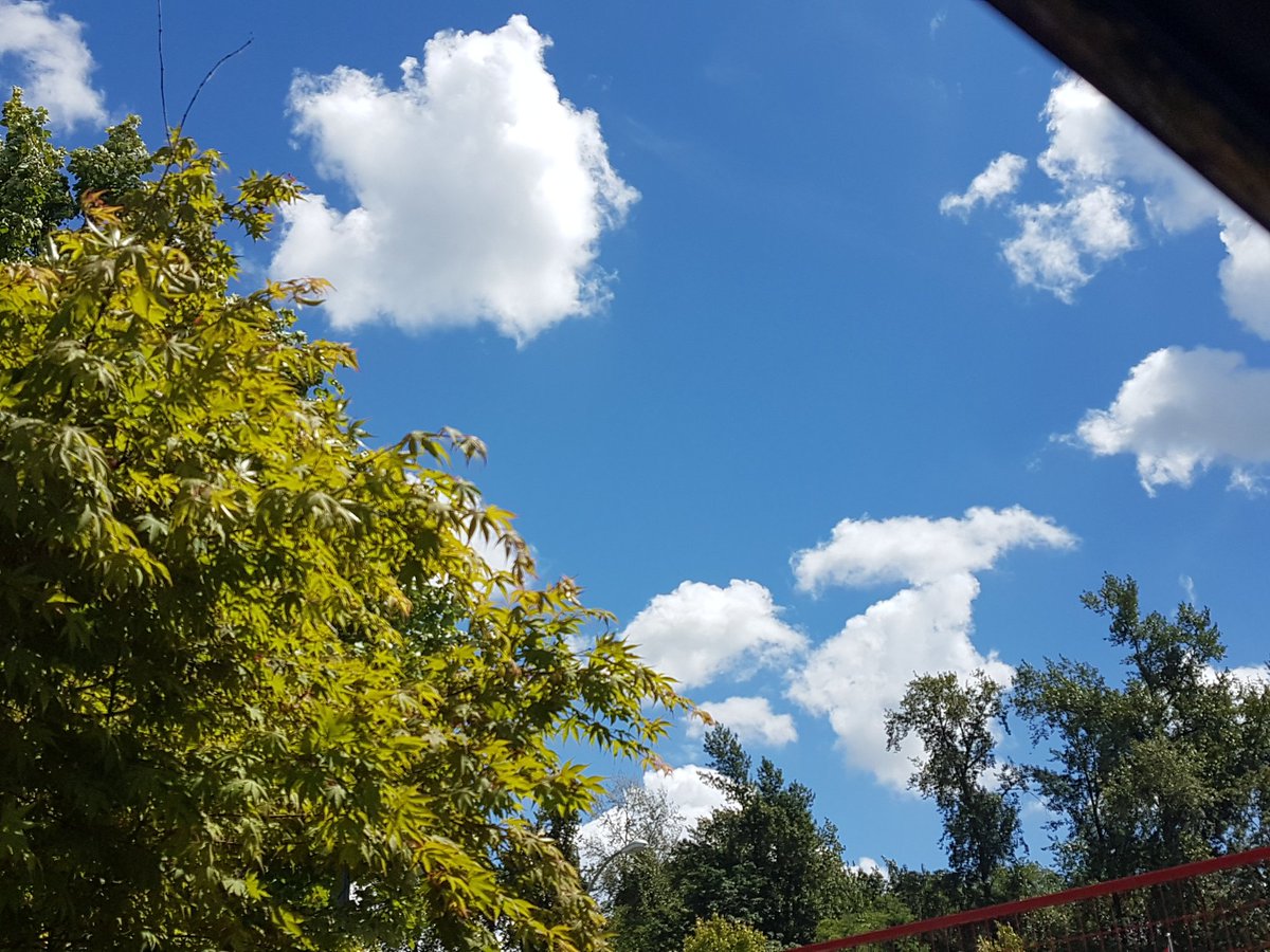 VanessaLYbarra's tweet photo. Look at that sky! Turned into a GLORIOUS day in #SurreyBC #springfeelslikesummer @pulse1077 https://t.co/oCg5DMl2i3