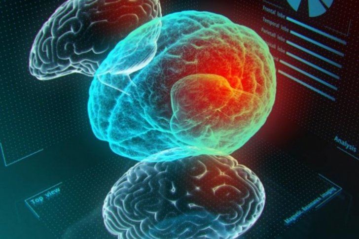 Descubren cómo implantar imágenes holográficas en el cerebro buff.ly/2LeixVc