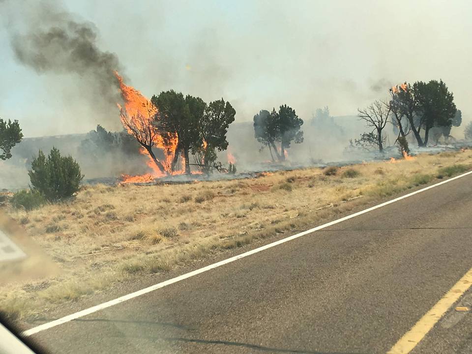 Ashlee DeMartino on Twitter "Pictures from azfamily viewers of the White Junction fire near