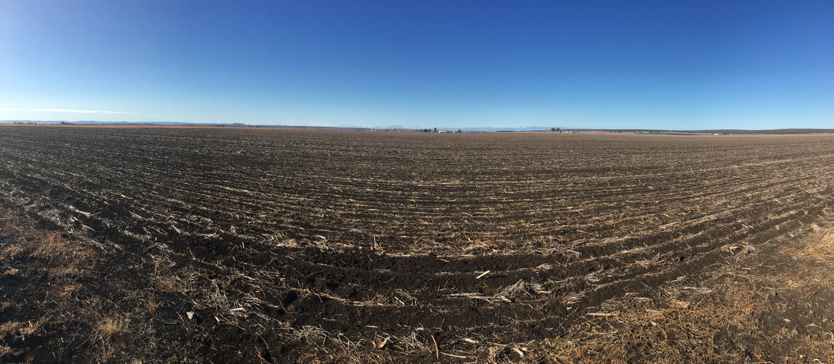 Just west of Clifton- ready to plant - grower said he needs 2 inches around here to get winter crop in