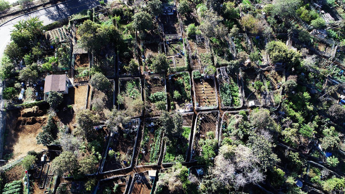 Los Angeles Times On Twitter One Of L A S Oldest Community