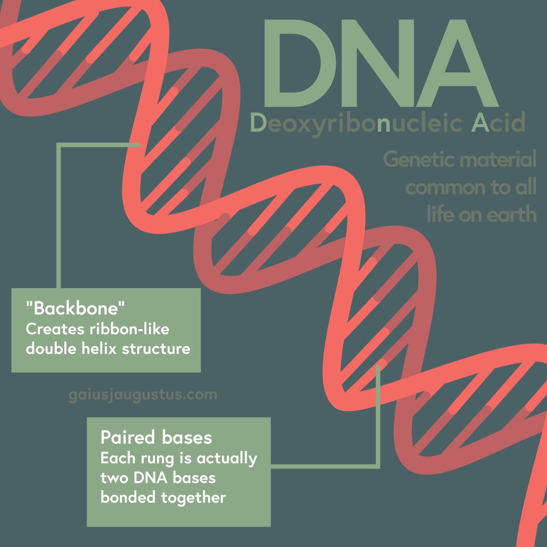 advanced ecological theory principles