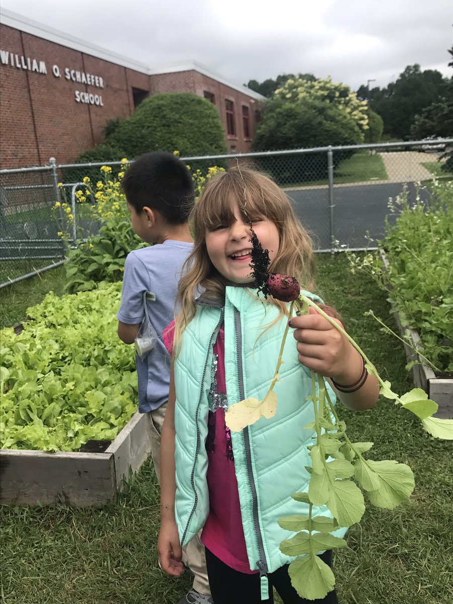 miss_rrega's tweet photo. Enjoying the fruits of our labor at the harvest party in the WOS garden @WOSnews #msregaWOS #msehardtWOS https://t.co/CENtLoEcYM