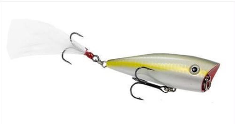 Check out BAM Outdoors. With over 60,000 items for sale at special rates. bit.ly/2scQC0c