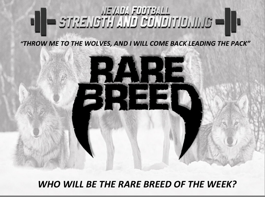 CoachZach32's tweet image. Summer is in full effect, and the season starts now. Progress isn’t instant, but instead an accumulation of your repeated behaviors. The #PackAttack needs some alphas who’s ready to work? #BattleBorn #NevadaGrit 🐺🐺@NV_CoachSimmons @jarwarskibeckum @NevadaFootball