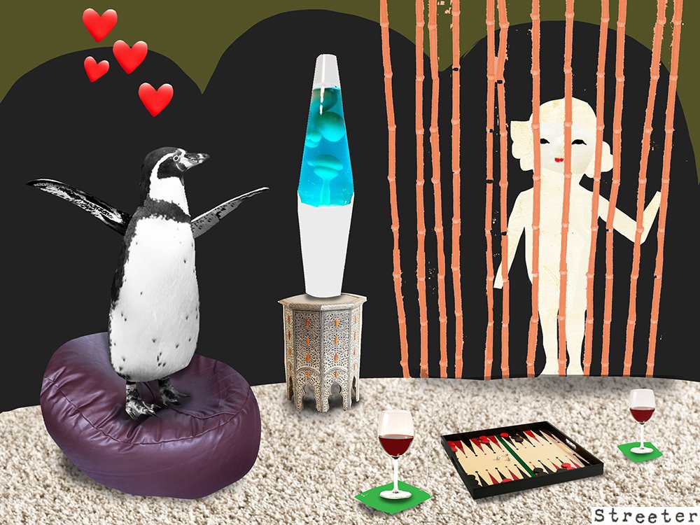 Katherine Streeter tweet media