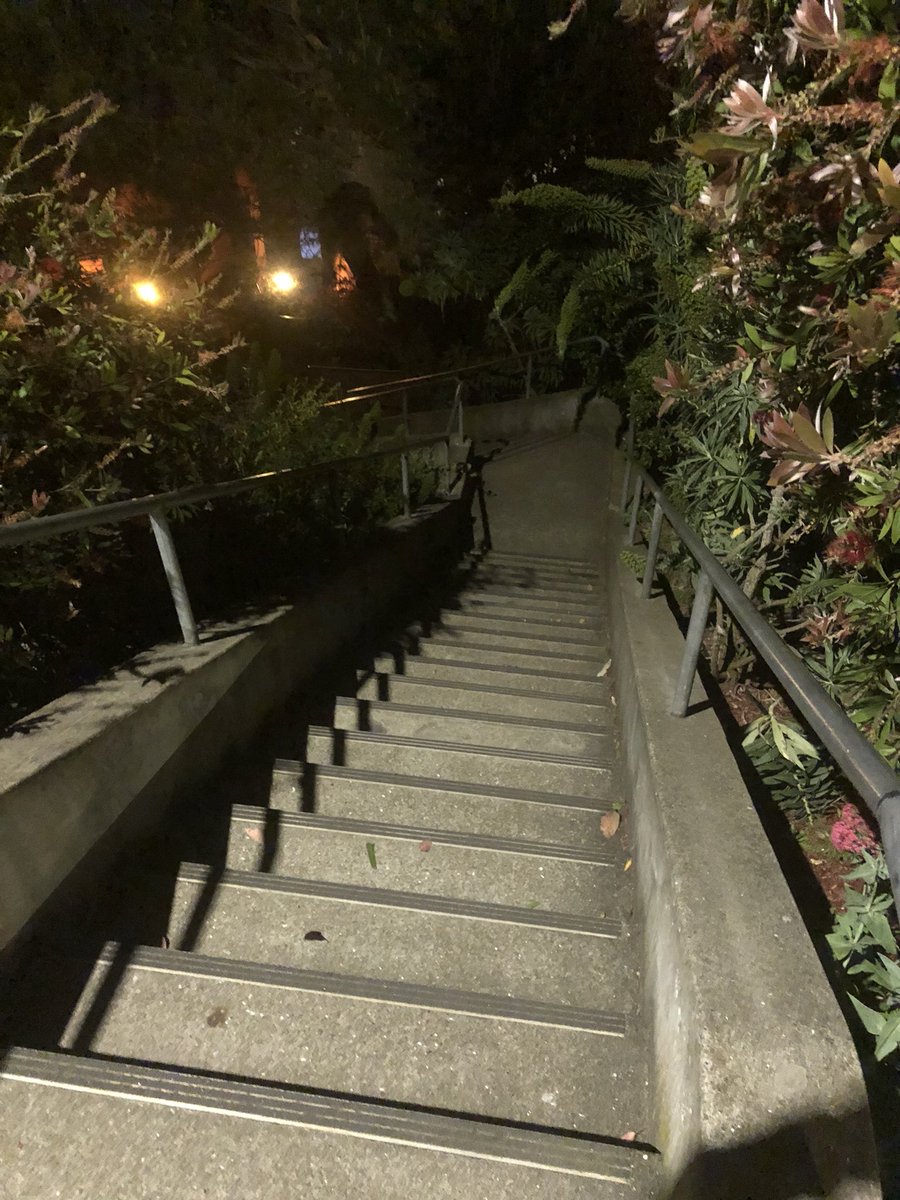 More SF stairs conquered! Castro & 28th Street and Noe & 27th Street. Time to find more 💪🏃‍♂️🔥#SF #NoeValley