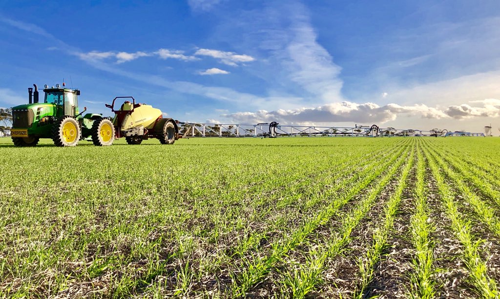 Can never have enough ponies out the front