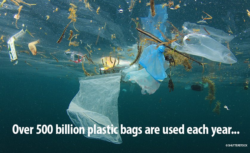 Happy #WorldEnvironmentDay! 

Would you pollute something you love? Why is it ok then to turn our 🌏into a plastic landfill?

Respect for nature comes with understanding. Time to #BeatPlasticPollution!

ℹ️ on.unesco.org/WED2018