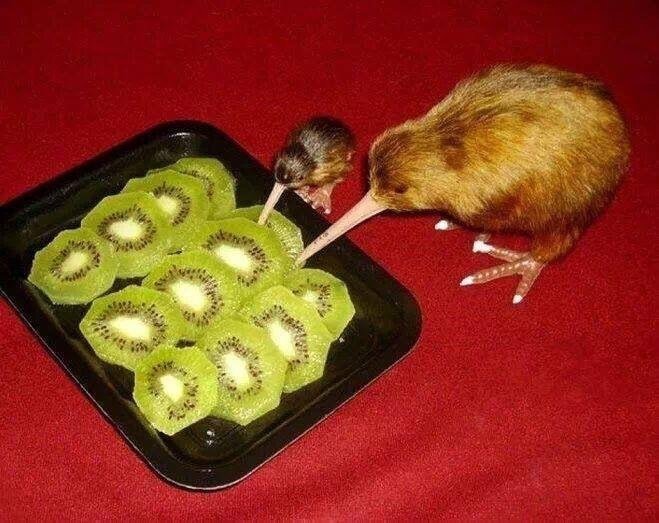 A desperate family turns to cannibalism.