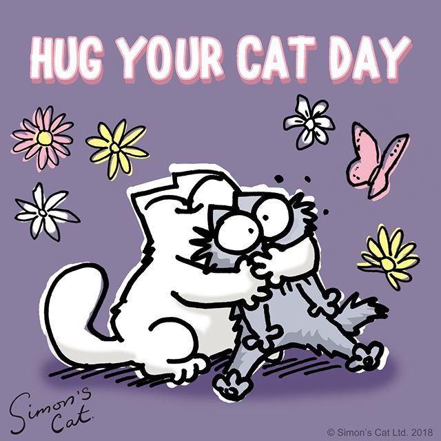 CityHumane's tweet photo. It’s #hugyourcatday 🤗 😘
via @simonscat 
#catlovers #cats https://t.co/DQ13bncIlA https://t.co/WR885s2tDj