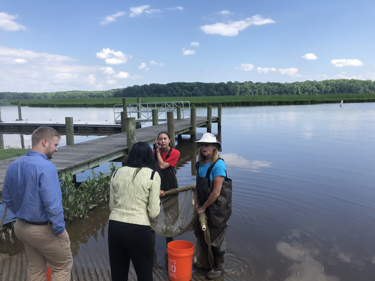 KrishVignarajah's tweet photo. Met with Mayor @BrandonPaulin of Indian Head and environmentalists to talk about protecting our waters. Also had the opportunity to observe the amazing biodiversity in Mattawoman Creek! #IndianHead #Mattawoman #KrishforMD https://t.co/Md9rflil5u