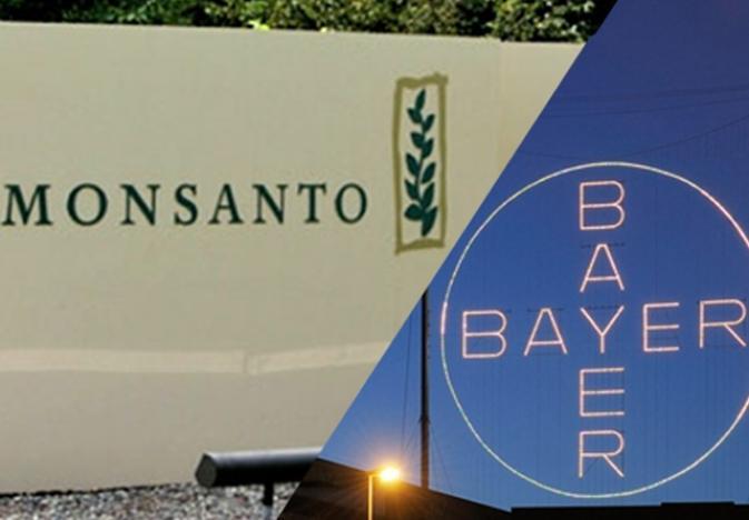 FarmersAdviser's tweet photo. Bayer will retain its name and drop Monsanto’s as it closes the deal Thursday  https://t.co/56xo17unhP https://t.co/ym62iRrB2m