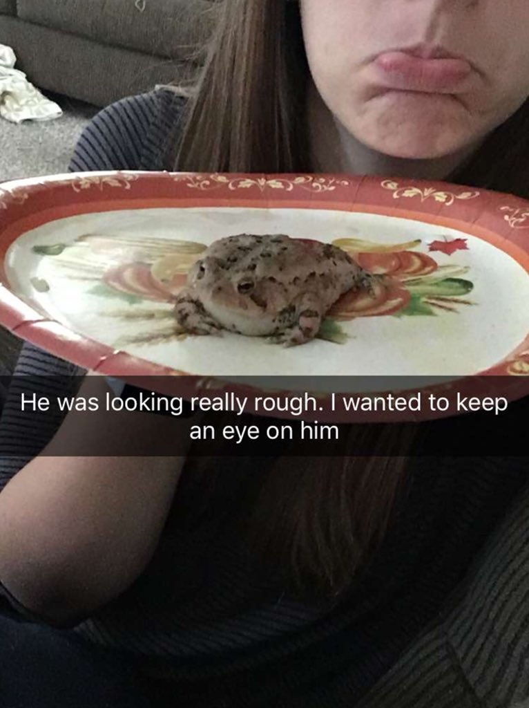 rachelmae109's tweet photo. Abby was blowing up my phone today while I was at work. I thought there was a serious emergency and this is what I find...this is my life https://t.co/3T7vv47uED