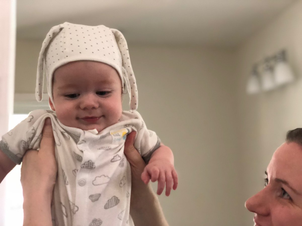 chrishandyblog's tweet photo. @HandyBethany @dcancel I wonder where she learned such a practice. #imsorryson #bunny https://t.co/egPZ7pZfGp