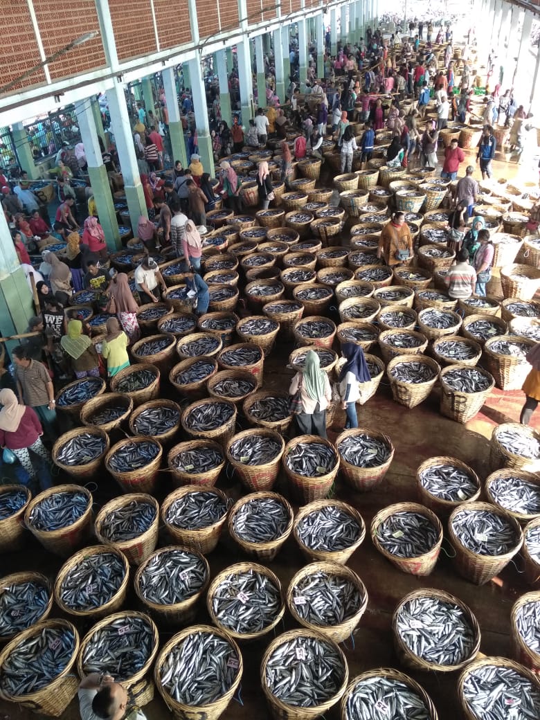 Mei 2018 Ikan Melimpah - Musim Penangkapan Ikan di Pantai Selatan Jawa Timur: 5.656 Ton Nilai 64 M Terimakasih pada Ibu <a href="/susipudjiastuti/">Susi Pudjiastuti</a> <a href="/mzulficar/">ZulficarMochtar</a> <a href="/djpt_kkp/">Direktorat Jenderal Perikanan Tangkap</a> <a href="/kkpgoid/">KKP RI</a>