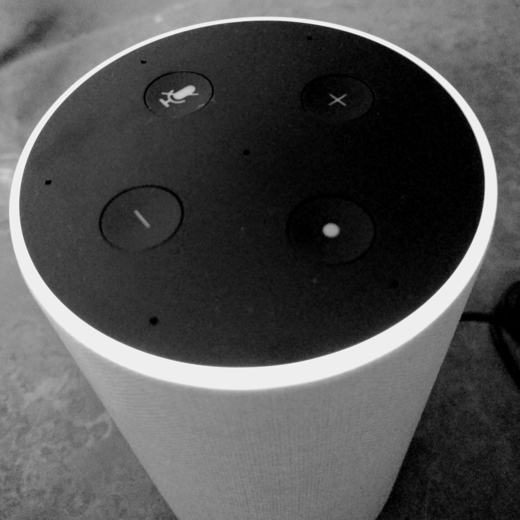 all about echo tweet media