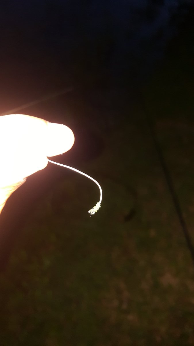 RealTobyFarley's tweet image. A #Fishermans worst nightmare.... #20lbs #bassfishing