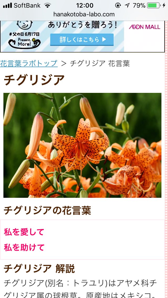 ヒプマイプラス