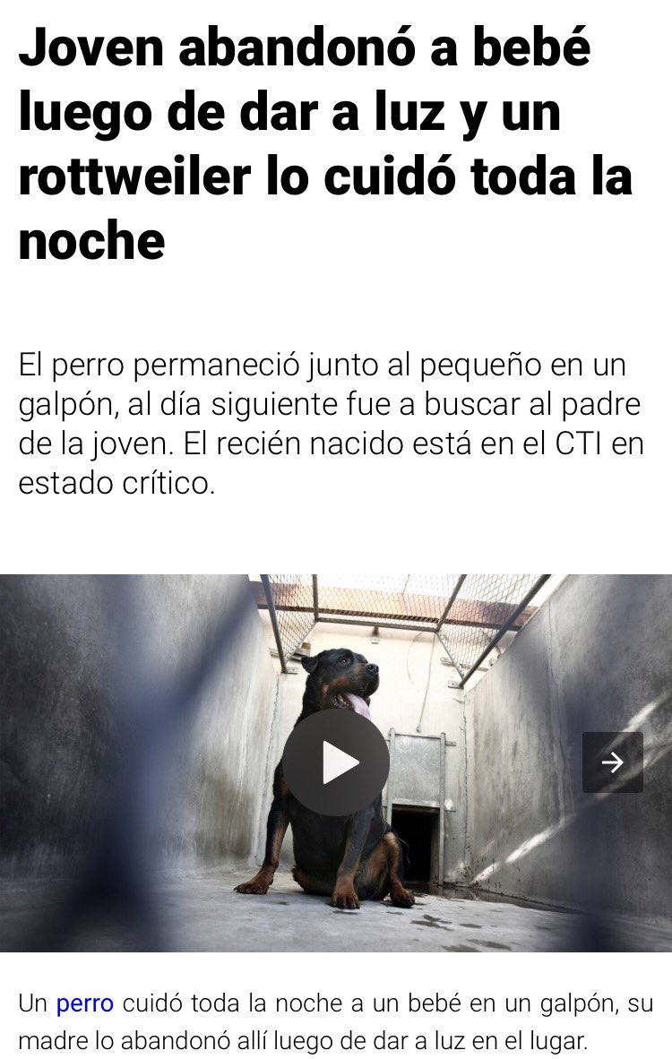 loco no los merecemos