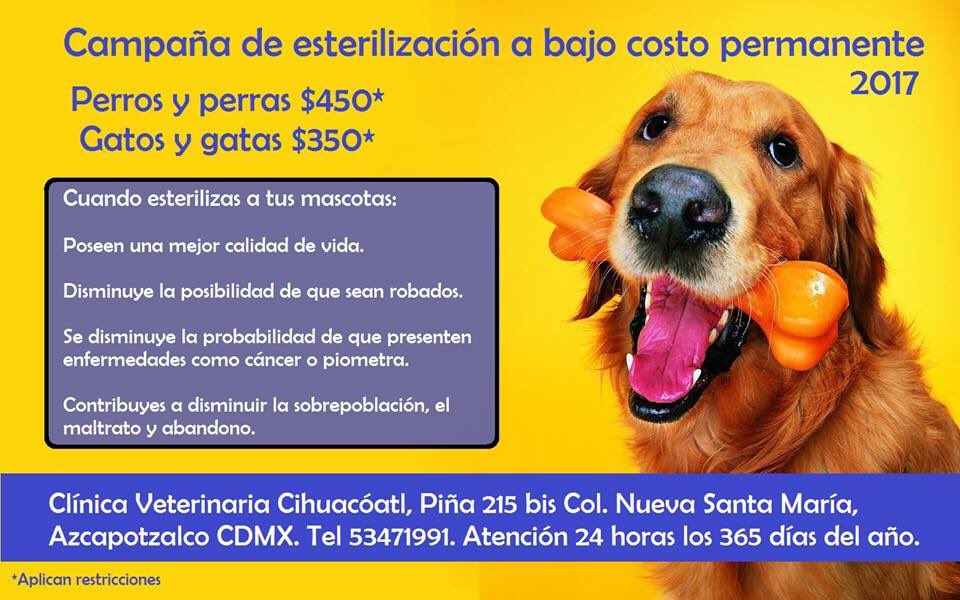 Mascotas Sismo tweet media