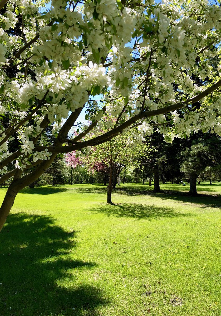 GFAFBCommander's tweet photo. Grand Forks AFB...absolutely beautiful in the Spring!  Snow?  What snow??  The @319ABW Warriors of the North are preparing for an amazing North Dakota summer.  @GFAFBChief and I wish you were here!  #GlobalHawkBase #GlobalHawkCommunity https://t.co/V6R2kabTdD