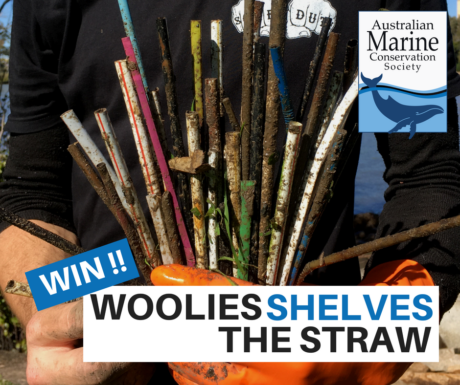 Supermarket giants Coles and Woolworths announce new enviro. commitments in response to a shift in consumer attitudes, including a ban on plastic straws. This will save 134 million plastic straws from going into circulation annually #WorldEnvironmentDay #BeatPlasticPollution