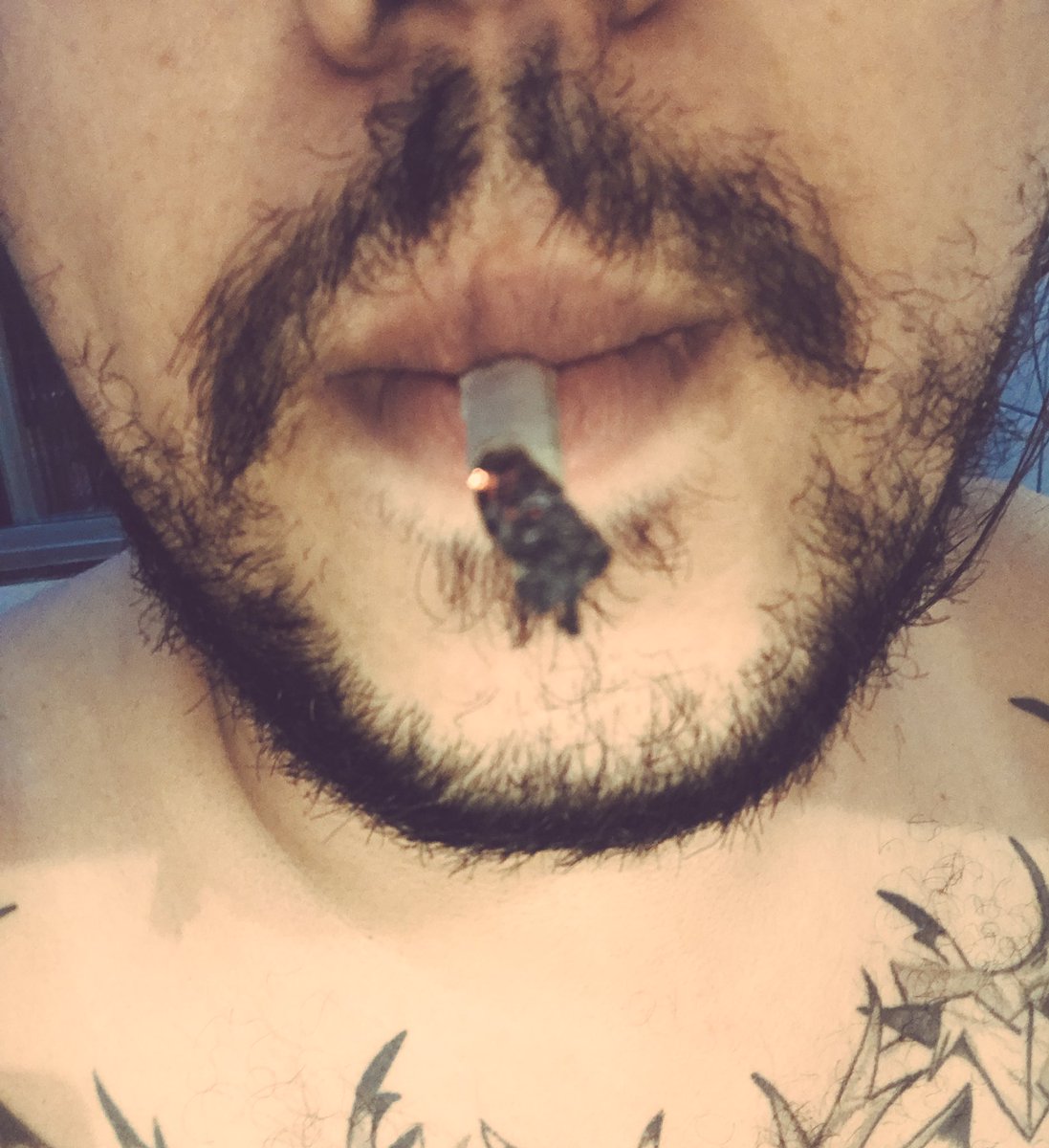 verdeolivaa's tweet photo. ✌🏻 #goodnight #highercontent #ganja #weedstagram #buds #weedporn #kush #onelove #joint #rawweer #maconha #710 #420 #4i20 #indica #thc #marijuana #goodvibes #wakenbake #weed #ganjagirls #green #marchadamaconha #maconheiro #tabacaria #keepithronic #growlife #w420 #legalizabrasil https://t.co/HTgMFryUep