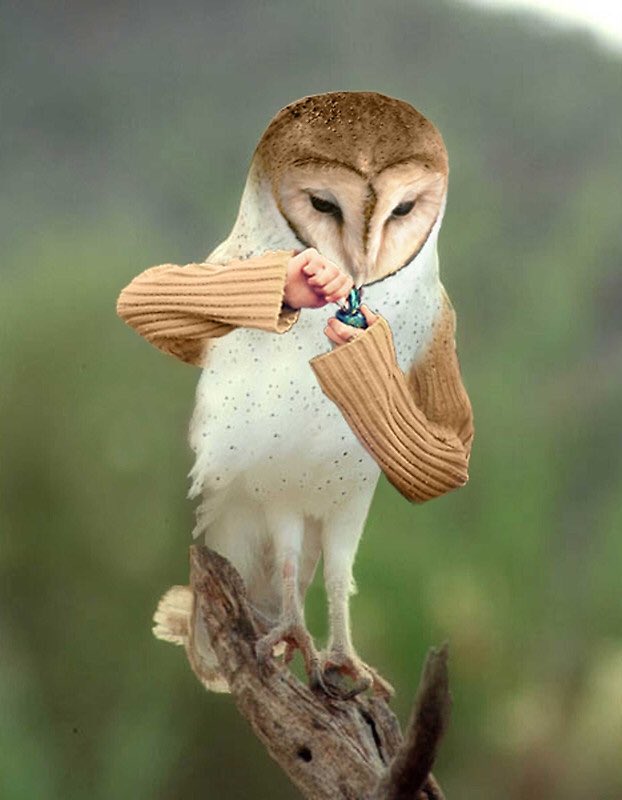 Ė_man Lado tweet media