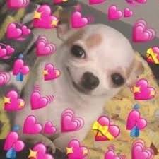 i love you. you are so beautiful. you deserve everything in this ugly world. lemme protect you my lil sheeshy babu. i love you so muchy, baby ♡