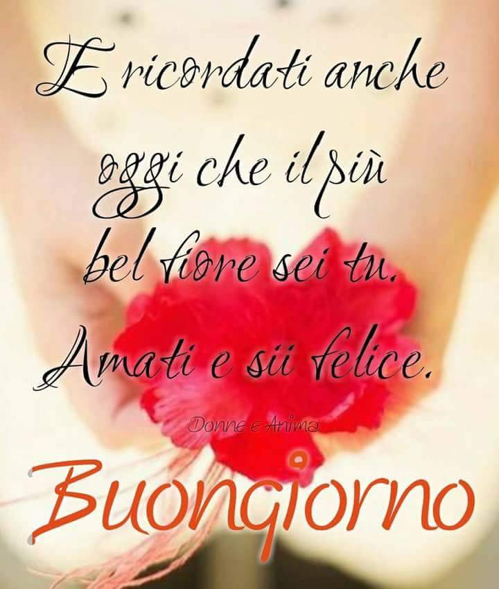 Elena Caccavale Elenacaccavale Twitter