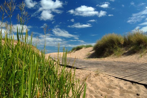 Have you seen this year’s #Energetica Summer Festival 2018 Programme? Celebrating the North East’s idyllic natural environment and the array of wildlife that call it home. Findout more at energetica.scot/festival2018 #WorldEnvironmentDay